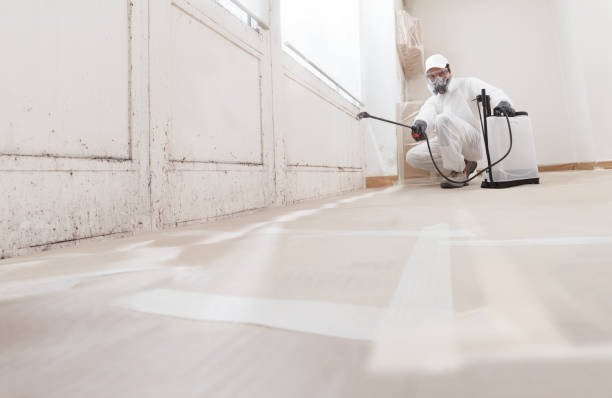 24/7 Emergency Mold Inspection experts in Woodstock, VA