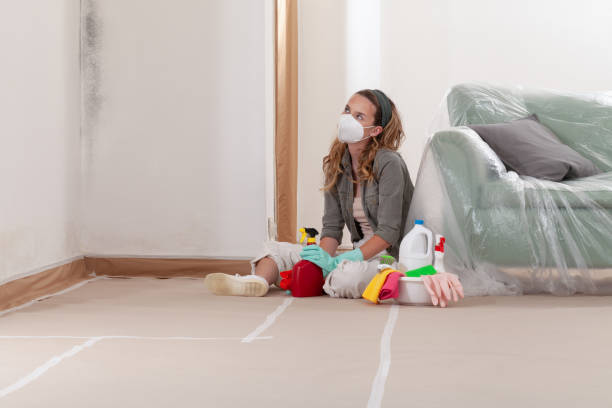 Reliable Mold Inspection contractor in Woodstock, VA by WQB Mold Removal